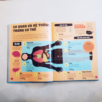 Sách - Infomania - Các kỷ lục, top 10 và những thông tin kỳ thú khác