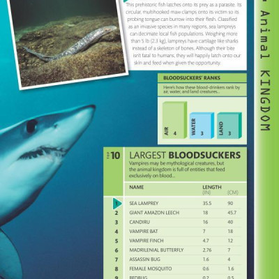 Top 10 of Everything 2018