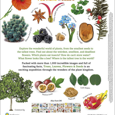 Trees, Leaves, Flowers And Seeds: A Visual Encyclopedia Of The Plant Kingdom