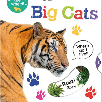 First Facts Big Cats (Turn-the-Wheel Books)
