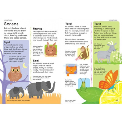 Sách tiếng Anh - First Illustrated Science Dictionary