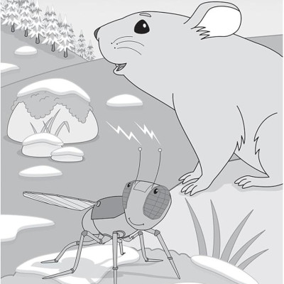 Sách ngoại văn: Chapter Book Sunbird George The Flybot And The Lost Camera On Mount Everest