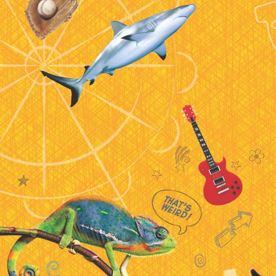 Weird But True! Cool And Crazy Sticker Doodle Book