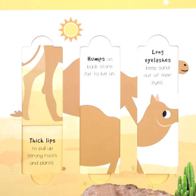 Little Wonders: Desert Animals - 5 Puzzles