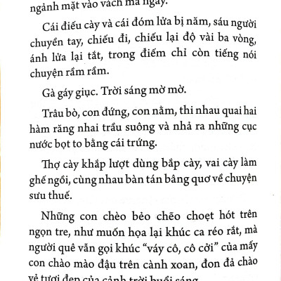 Tác Phẩm Văn Học Trong Nhà Trường - Tắt Đèn