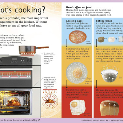 First How Things Work Encyclopedia: A First Reference Book For Children (DK First Reference)