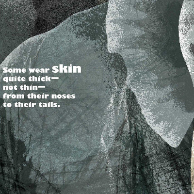 Feathers And Hair, What Animals Wear