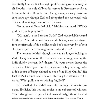 The Adventurers Guild 1