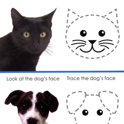 Wipe Clean Workbook Tracing And Pen Control