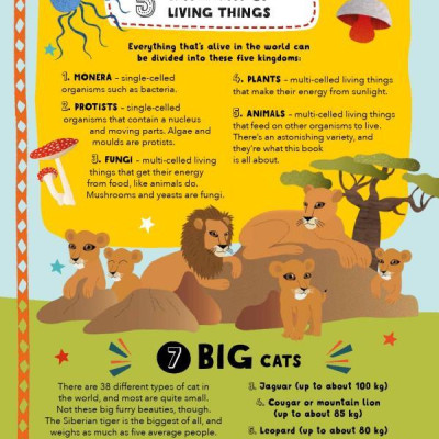 Lists For Curious Kids: Animals: 206 Fun, Fascinating And Fact-Filled Lists