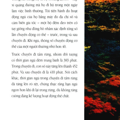 Shinrin Yoku - Nghệ Thuật Tắm Rừng Của Người Nhật