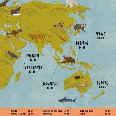 Wild City: Meet The Animals Who Share Our City Spaces