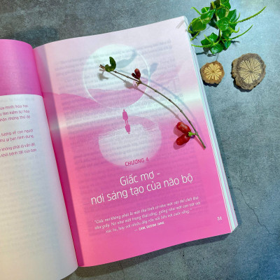 Nghệ thuật chữa lành - Hành trình tìm kiếm tri thức và khả năng tự chữa lành bên trong bạn