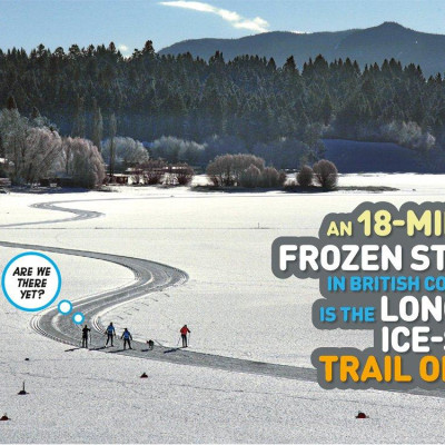 Weird But True! Christmas: 300 Festive Facts To Light Up The Holidays