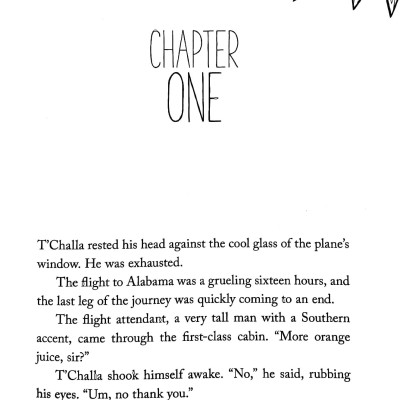 Black Panther: Spellbound