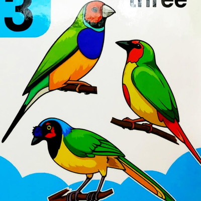 Baby’s Mini Books: 123