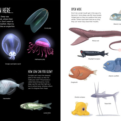 Deep: Dive Into Hidden Worlds