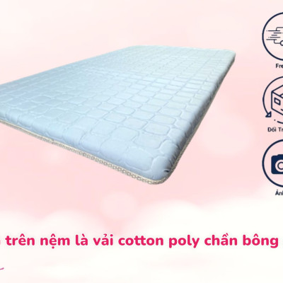 Topper Foam Kingroll Cao Cấp Dày 5cm Có Thun Ràng Đủ Size Giao Màu Ngẫu Nhiên (Tặng Kèm Drap Nệm)