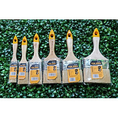 CÂY CỌ SƠN TOLSEN (TỪ 1