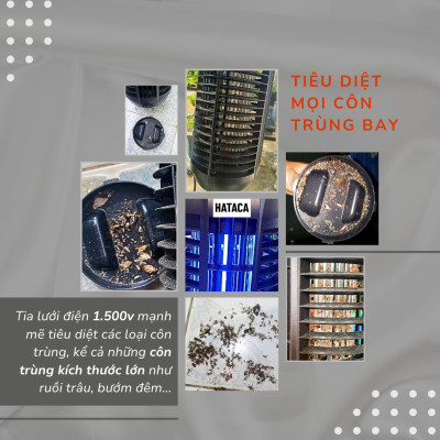 Đèn bắt muỗi ruồi và các loại côn trùng HATACA  model CN04 ( Hàng Chính Hãng)