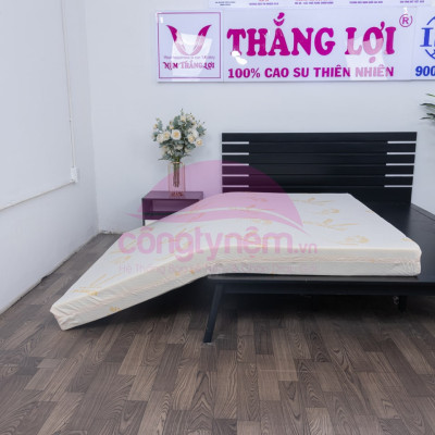 Nệm cao su TL Gold Latex phẳng Tundo 