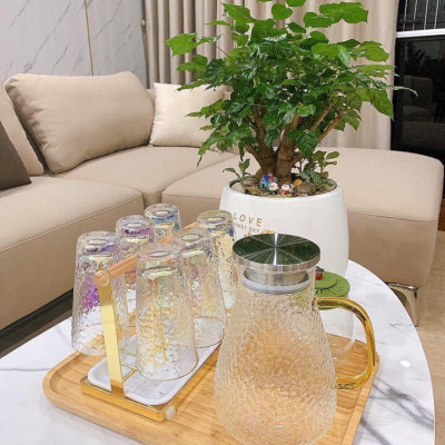 BỘ BÌNH UỐNG NƯỚC KÈM 6 CỐC THỦY TINH VIỀN VÀNG  - ANTH480