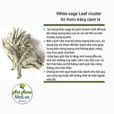 Bó lá xô thơm (Palo santo- White sage - Blue sage, Xô thơm trắng -Hương thảo -Xô Thơm xanh - Tuyết tùng Ant home moli