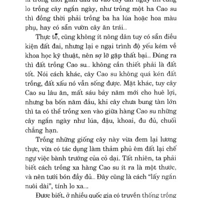 Kỹ Thuật Trồng Cây Cao Su Với Diện Tích Nhỏ