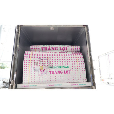 Nệm Cao Su Foam, Nệm Thắng Lợi WonderFoam Cho Người Bị Đau Lưng