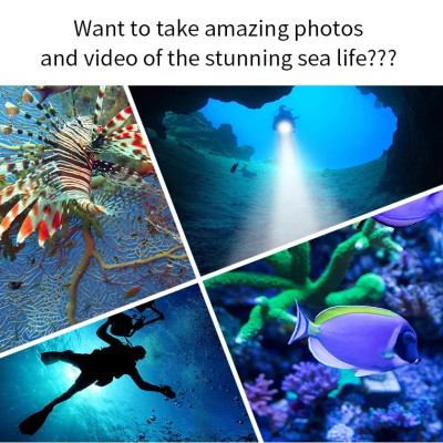 Đèn pin chống nước cao cấp cho thợ lặn TERINO T14 