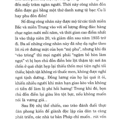 Kỹ Thuật Trồng Cây Cao Su Với Diện Tích Nhỏ
