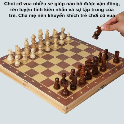 Bộ Cờ Vua Nam Châm D Danido Bằng Gỗ Size Nhỏ 29x29x2.5cm Cao Cấp, An Toàn Chính Hãng