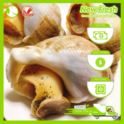 [GIAO NHANH HCM] Ốc Bulot Pháp Đông Lạnh - Túi 500Gr