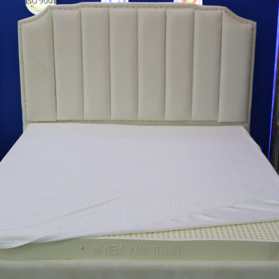 Nệm Cao Su Vạn Thành Standard 100x200x10cm