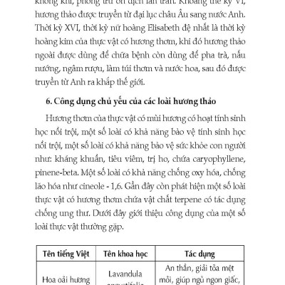 Kỹ Thuật Trồng Các Loại Cây Hương Thảo (Tái bản 2025)