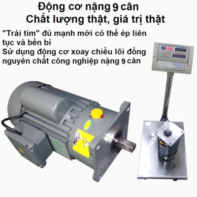 Máy ép dầu ăn thực vật chuyên nghiệp Nóng và Lạnh thương hiệu Mỹ Septree S8 - Công suất 1450W - Năng suất 6-40kg/giờ - Hàng chính hãng