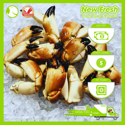 [GIAO NHANH HCM] Cua Nâu Nauy Siêu Gạch Đông Lạnh - 1 Con 1Kg