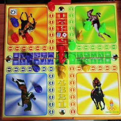 Bộ cờ đua Cá Ngựa hộp nhựa cứng có bàn