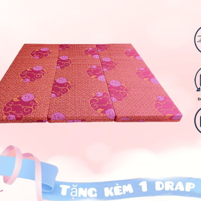 Nệm Bông Ép Cao Cấp Gấp 3 Dày 5cm Đủ Size ( Giao Màu Ngẫu Nhiên )