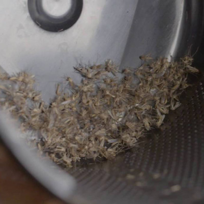 Máy Bắt Muỗi Và Diệt Côn Trùng UV Hàn Quốc MOSCLEAN