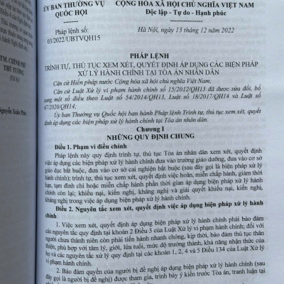 Sách Luật Xử Lý Vi Phạm Hành Chính sđ, bs 2024 – Hệ Thống Những Văn Bản Quy Định Chi Tiết Thi Hành (V2556T)