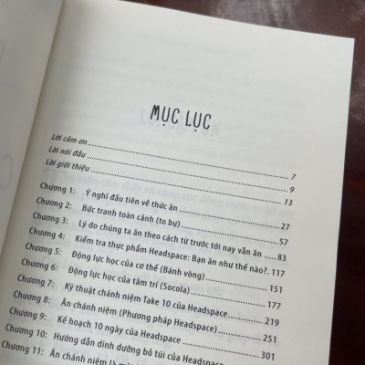 CÙNG HEADSPACE – ĂN CHÁNH NIỆM - Andy Puddicombe – Song Hạo dịch - Thái Hà – NXB Lao Động