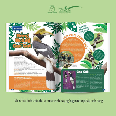 (Bìa cứng) THẢO CẦM VIÊN SÀI GÒN - Kho Báu Trong Lòng Thành Phố