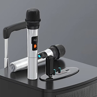 ROGTZ Bộ 2 Micro Cầm Tay Không Dây UHF Cho Trợ Giảng, Thông Báo, Karaoke, Phạm Vi 50m XXD H16L-2 - Hàng Nhập Khẩu