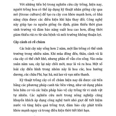 Nông Nghiệp Xanh Và Sạch - Trồng Hoa Đẹp Quanh Năm