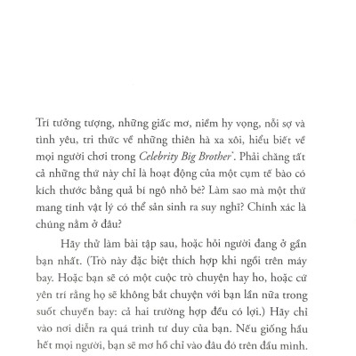 Tâm Trí Thật Phi Lý