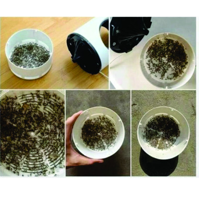 Máy Bắt Muỗi Diệt Côn Trùng Thông Minh-Máy Bắt Muỗi Sử Dụng Ánh Sáng Xanh UV Kiêm Đèn Ngủ