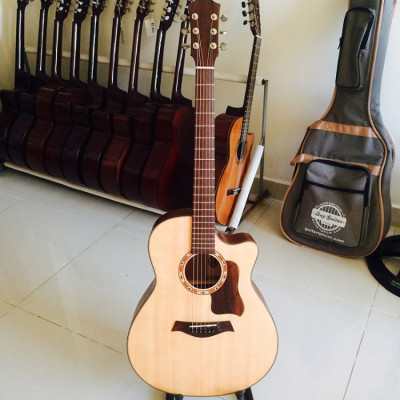 Đàn guitar acoustic DT400 