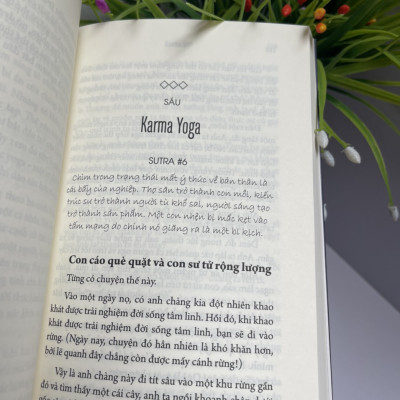KARMA NGHIỆP -  CHỈ DẪN KIẾN TẠO VẬN MỆNH CỦA MỘT YOGI – Sadhguru – Tùng dịch - Thái Hà - NXB Thế Giới