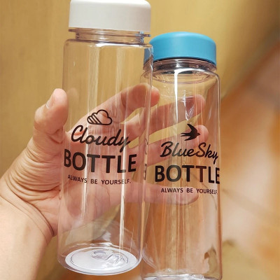 Bình nước Echo Cloudy | Blue Sky Bottle 500ml - Hàng Nội Địa Nhật Bản
